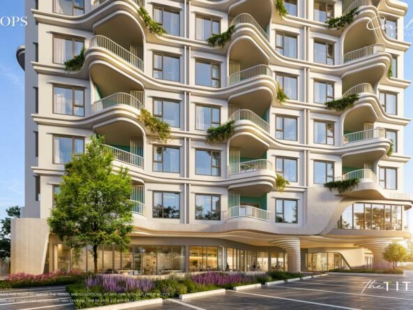 the-title-carolina-ext-15