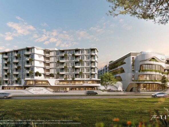 the-title-carolina-ext-9