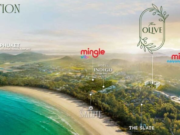 The-Olive-page-location